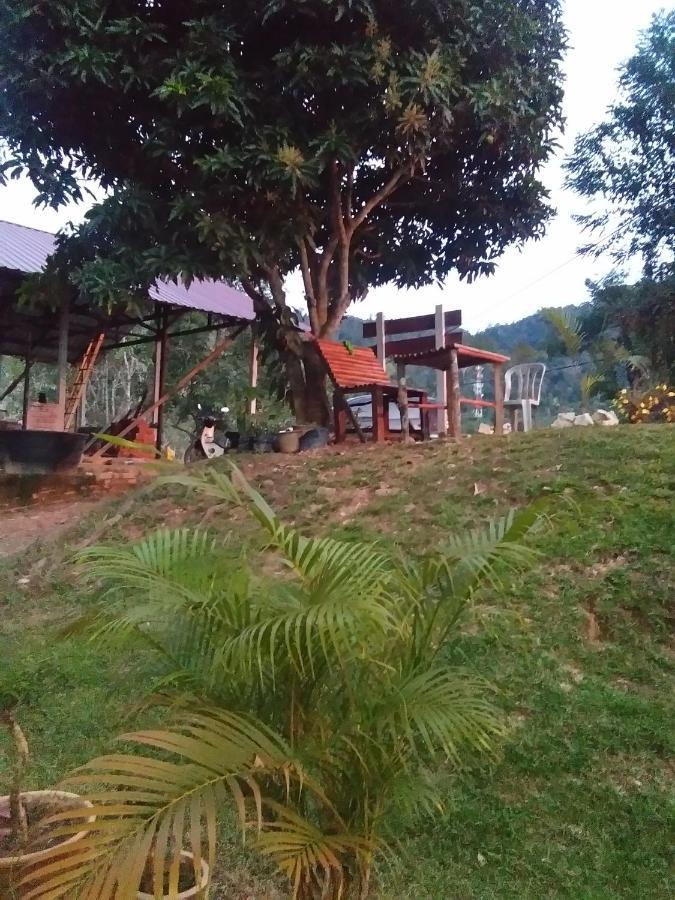 Delimah Guesthouse Куала Тахан Стая снимка